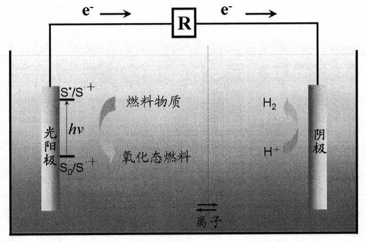 金属络合染料是什么染料