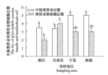 砌块与天然胶粘剂的种类有哪些