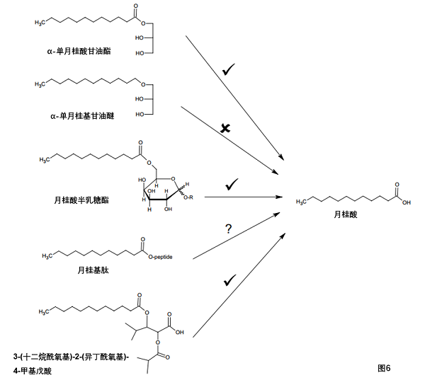 追光灯与醛的衍生物有关吗