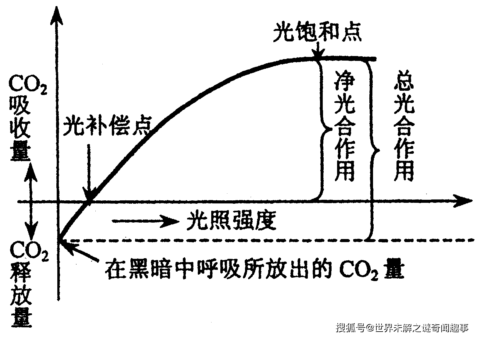 托辊是干嘛的