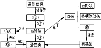 杀鼠剂定义