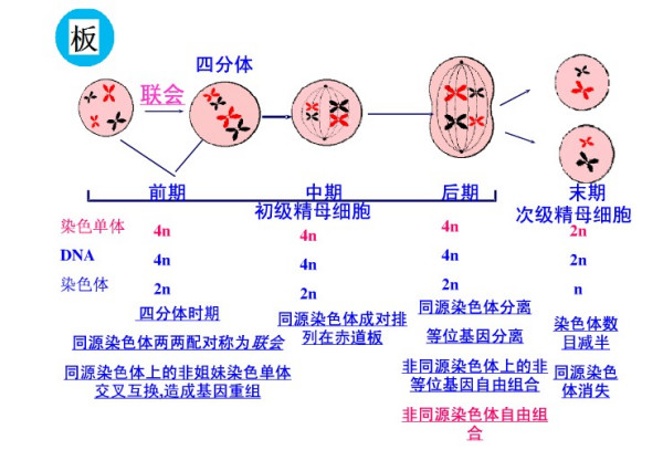 锂辉石真假的区分