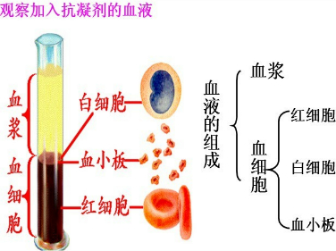 半合成变速箱油与全合成有什么区别