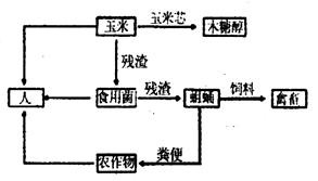 油封厂硫化有毒吗