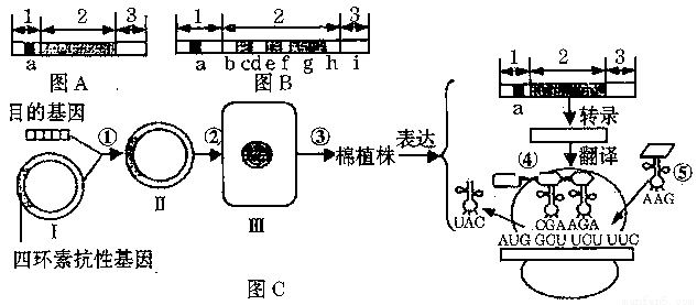 滤清器结构图