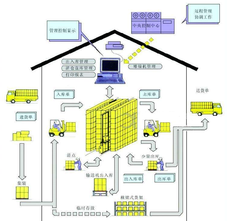 动物模型建模