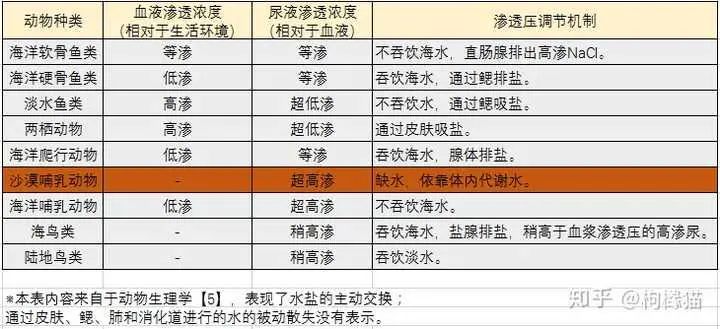 不同材质的袜子有什么区别